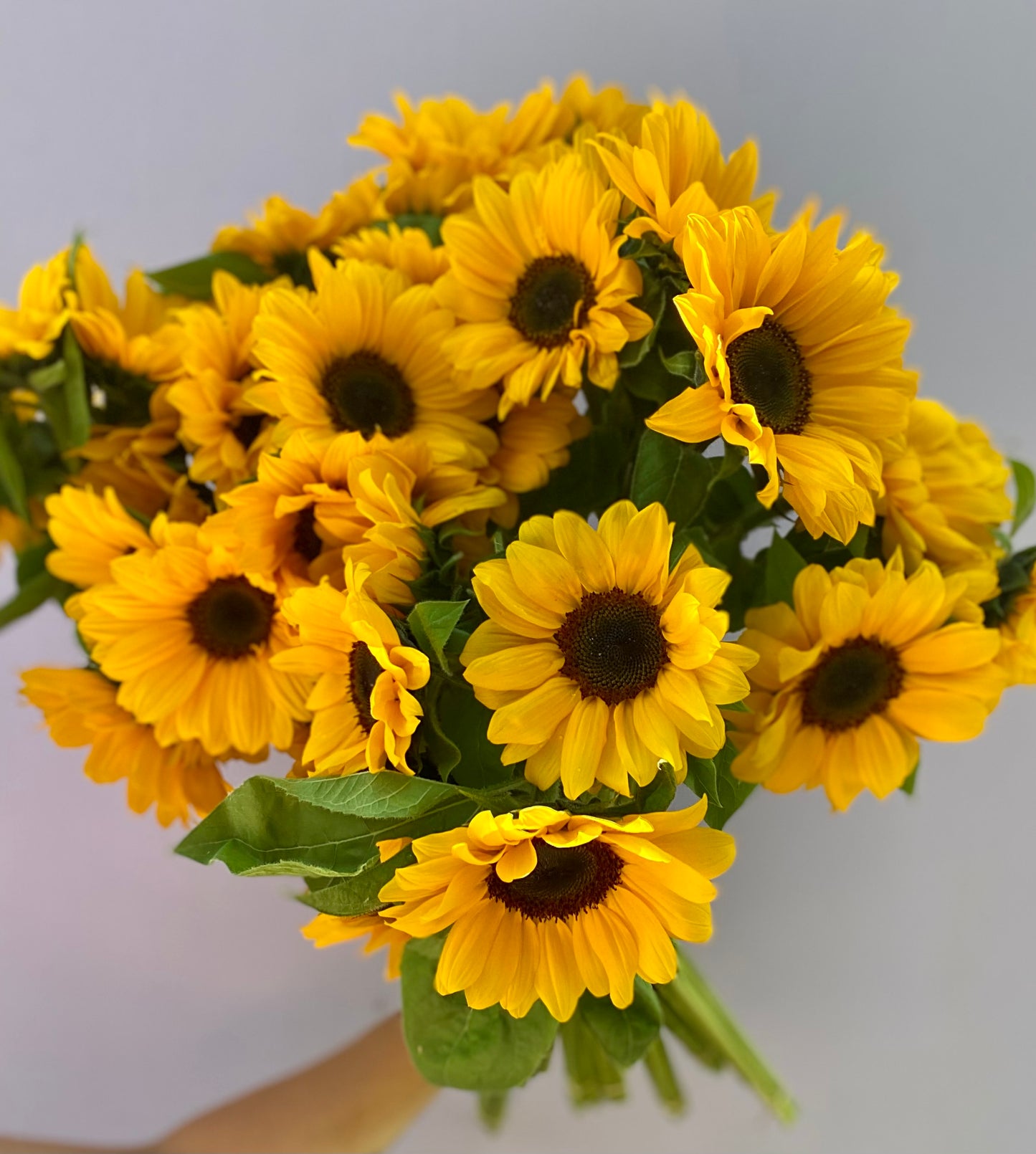 Sunshine Bouquet - delivery from Saturday 21st